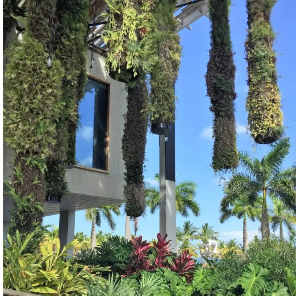 Jardim de Péres em Miami EUA