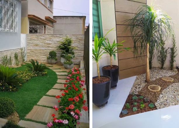 plantas para jardins pequenos