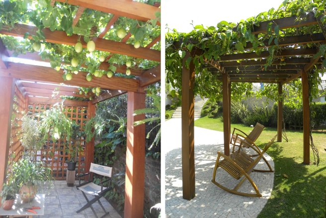 pergolado com plantas maracujá