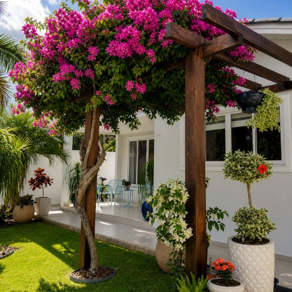 pergolado com vasos e plantas ao redor