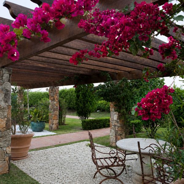 Pergolado com flores clima mais suave