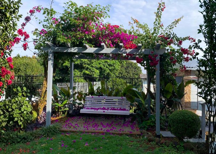 Pergolado de madeira no jardim